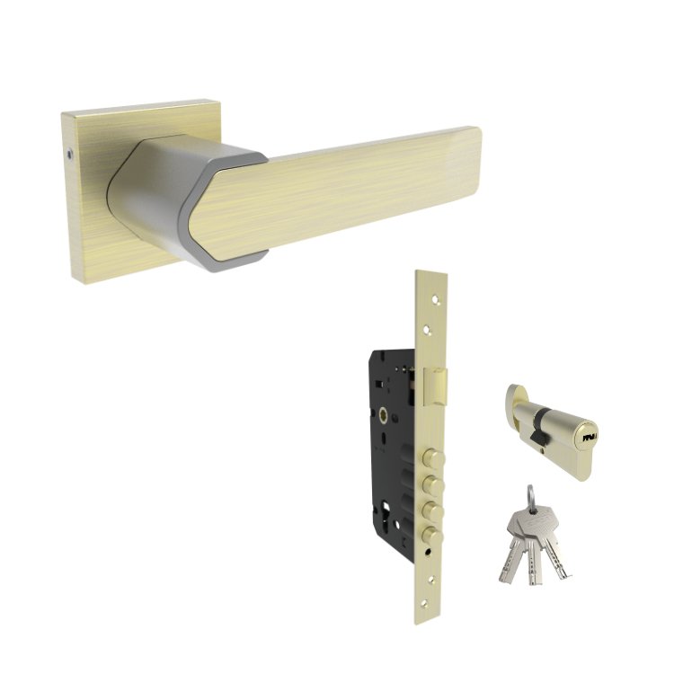 MDS-1002 MAIN DOOR SET