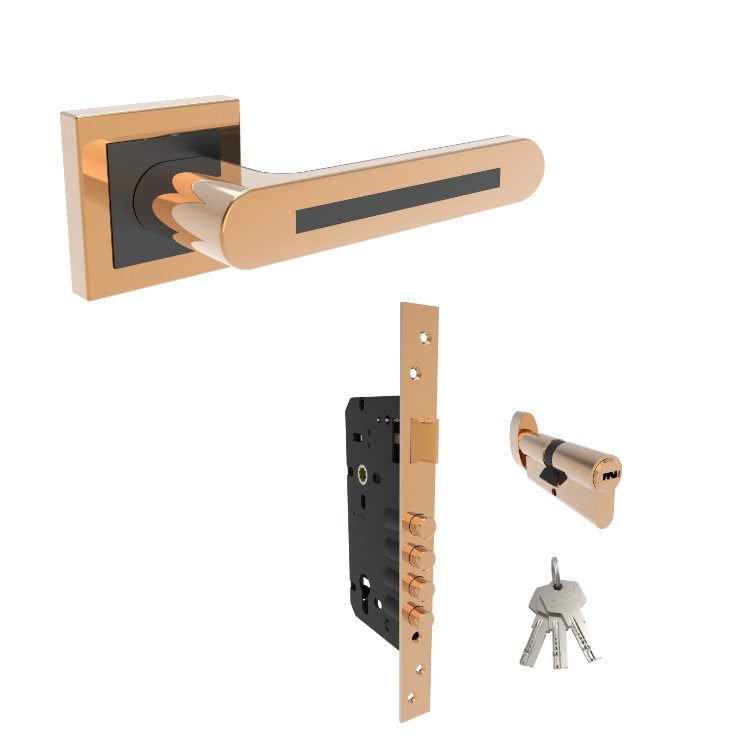 MDS-504 MAIN DOOR SET